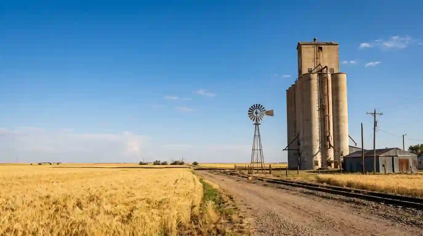 Texas Panhandle wheat fields with a grain elevator and windmill