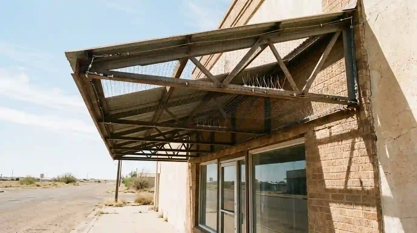 Bird spikes and netting installed under a store awning